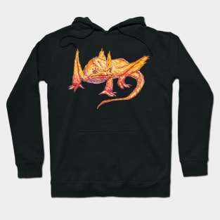 frog dragon Hoodie